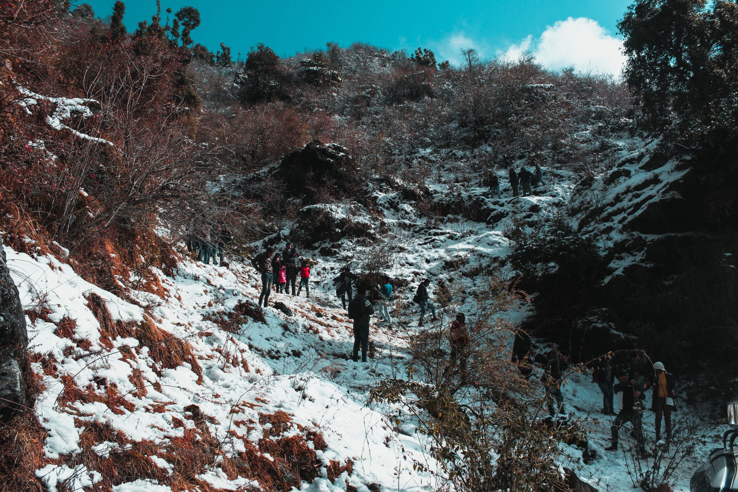 Easy Treks in India for First-Timers