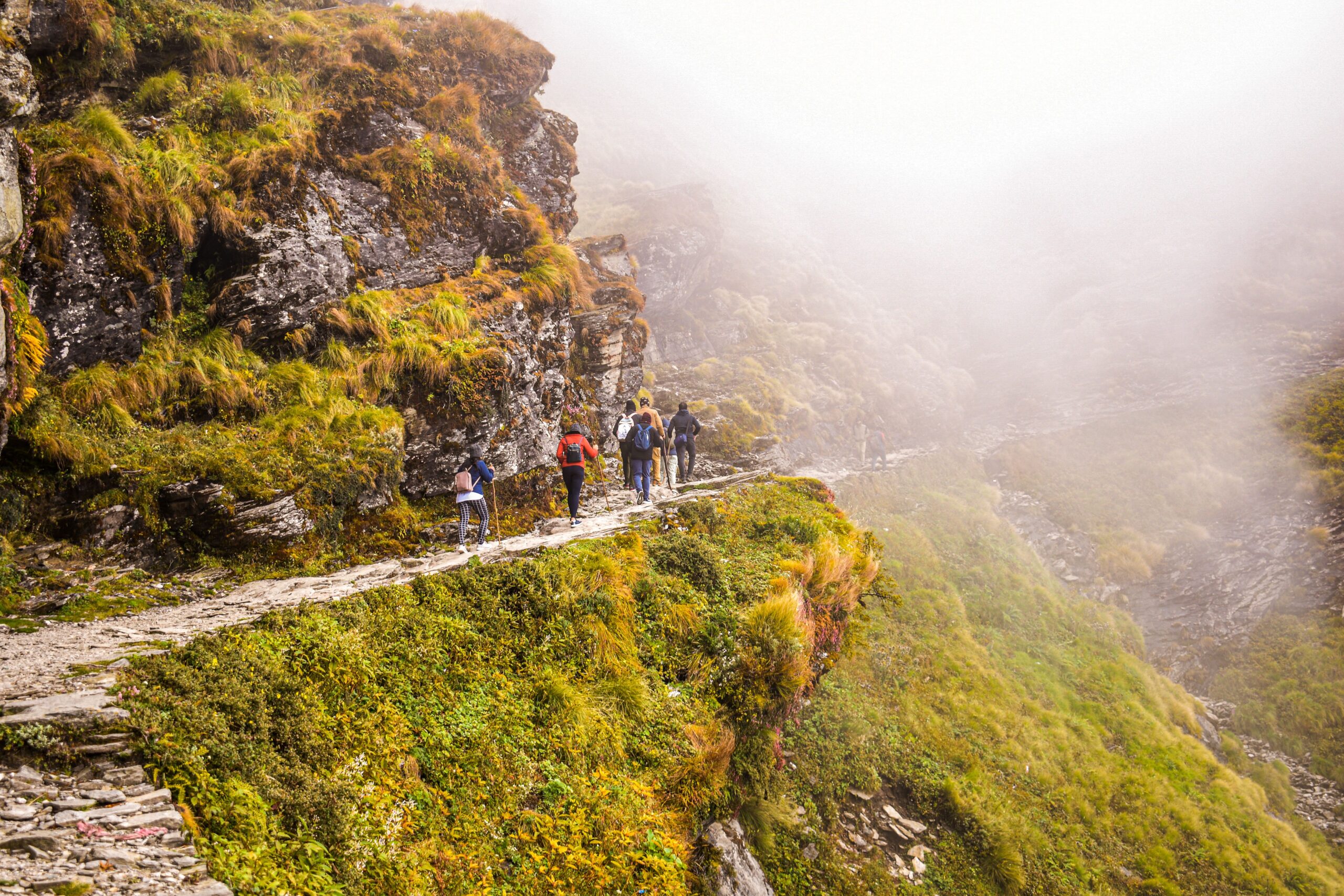 Easy Treks in India for First-Timers