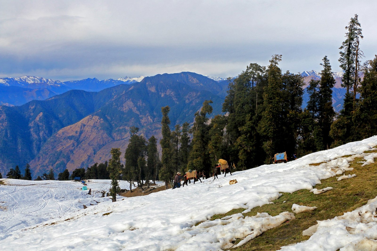Kedarkantha Trek Fitness Approval